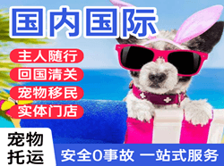 平潭航空货运国际宠物托运 【国